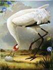 Unknown Artist Egg Surreal Kevin Sloan painting